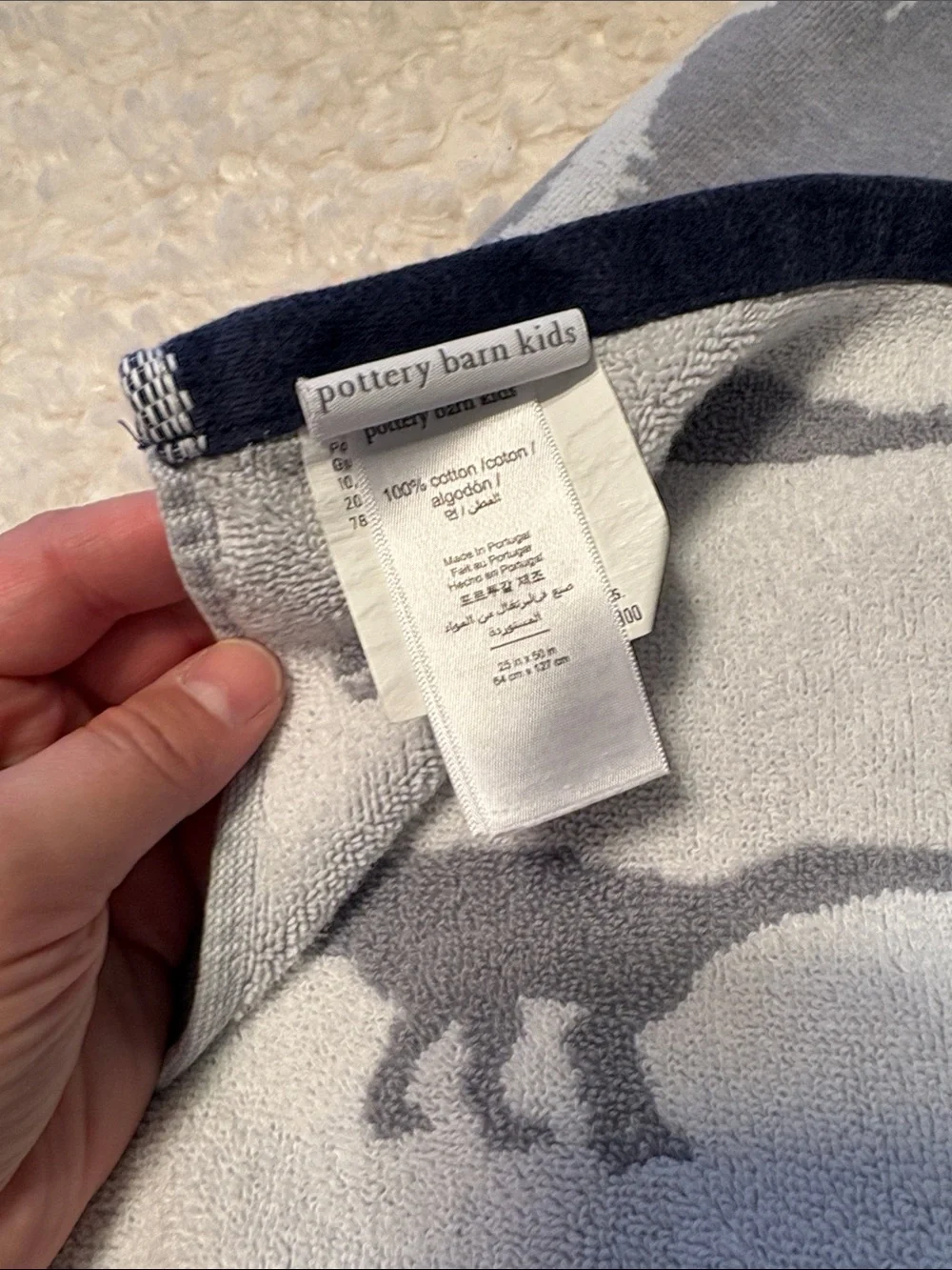 Pottery Barn Kids Finn Dino Bath Towel 25x50
